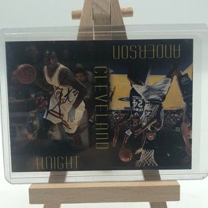 Derek Anderson/Brevin Knight